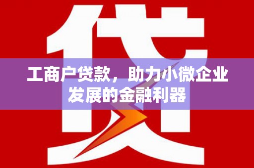 云和工商户贷款，助力小微企业发展的金融利器