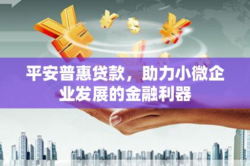 云和平安普惠贷款，助力小微企业发展的金融利器