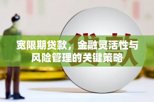 云和宽限期贷款，金融灵活性与风险管理的关键策略