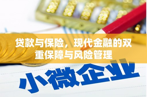 云和贷款与保险，现代金融的双重保障与风险管理
