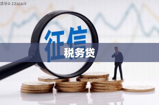 云和税务贷