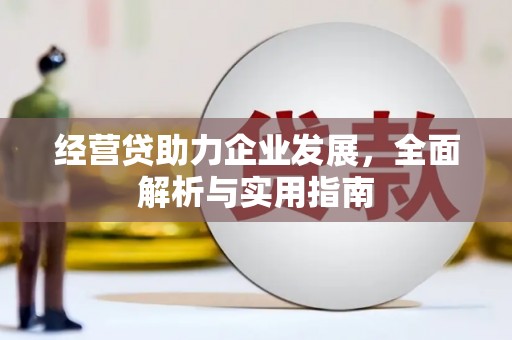 云和经营贷助力企业发展，全面解析与实用指南
