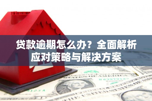 云和贷款逾期怎么办？全面解析应对策略与解决方案