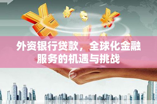 云和外资银行贷款，全球化金融服务的机遇与挑战