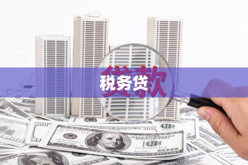 云和税务贷