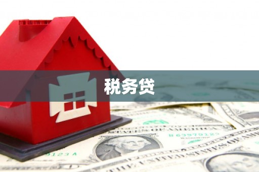 云和税务贷