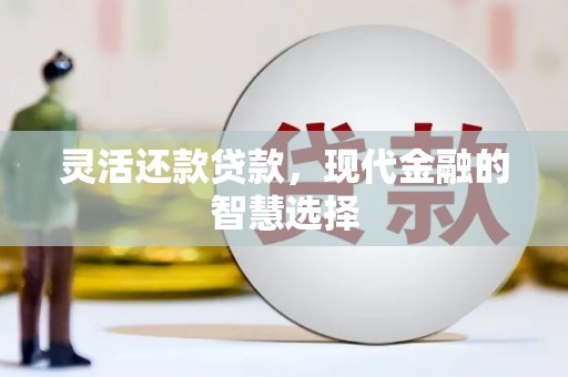 云和灵活还款贷款，现代金融的智慧选择