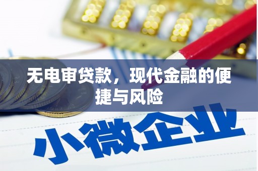 云和无电审贷款，现代金融的便捷与风险