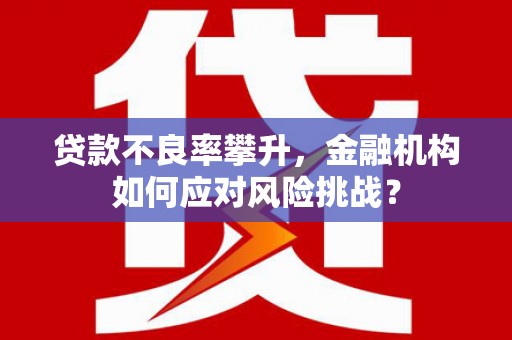 云和贷款不良率攀升，金融机构如何应对风险挑战？