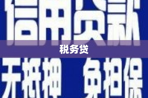 云和税务贷
