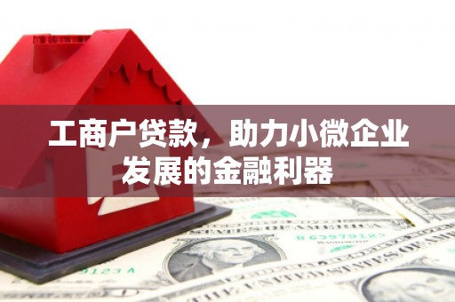 云和工商户贷款，助力小微企业发展的金融利器