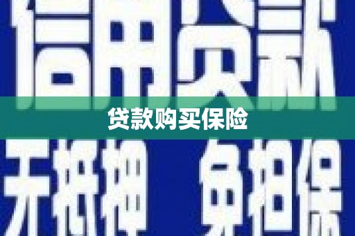 云和贷款购买保险