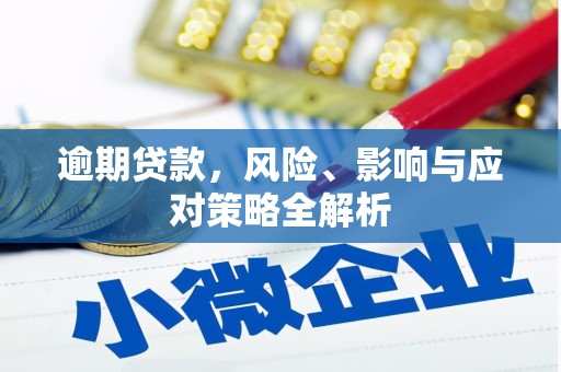 云和逾期贷款，风险、影响与应对策略全解析