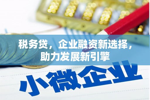 云和税务贷，企业融资新选择，助力发展新引擎