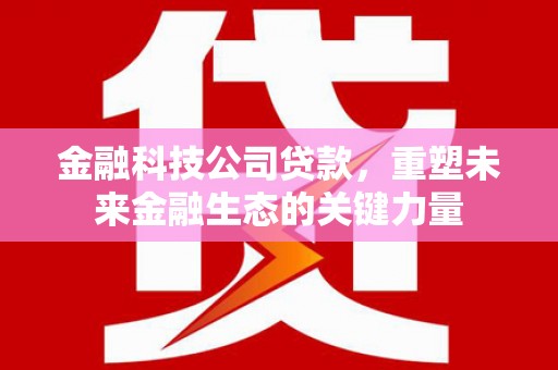 云和金融科技公司贷款，重塑未来金融生态的关键力量