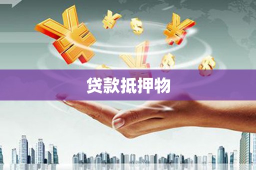 云和贷款抵押物