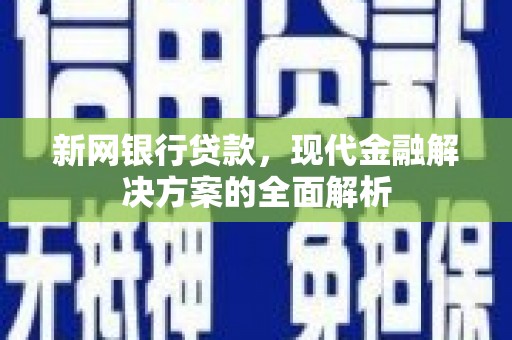 云和新网银行贷款，现代金融解决方案的全面解析