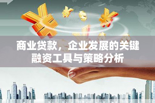 云和商业贷款，企业发展的关键融资工具与策略分析