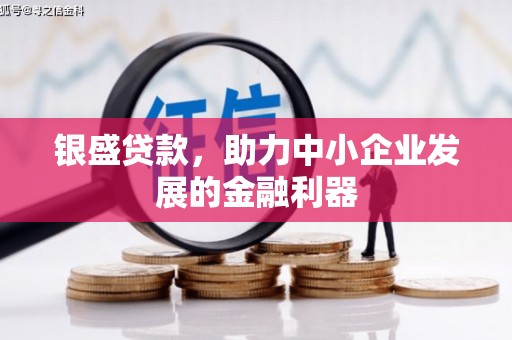 云和银盛贷款，助力中小企业发展的金融利器