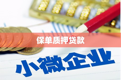云和保单质押贷款