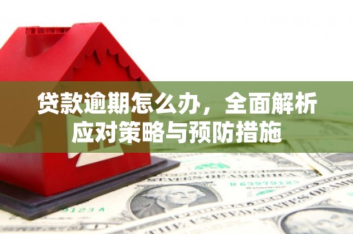 云和贷款逾期怎么办，全面解析应对策略与预防措施