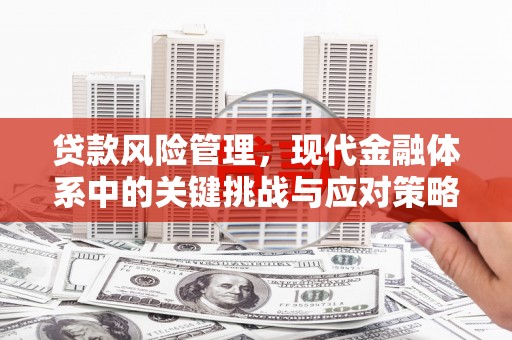 云和贷款风险管理，现代金融体系中的关键挑战与应对策略