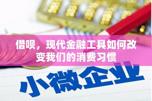 云和借呗，现代金融工具如何改变我们的消费习惯