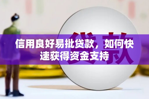 云和信用良好易批贷款，如何快速获得资金支持