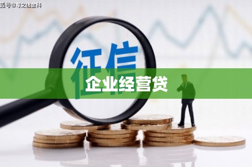 云和企业经营贷
