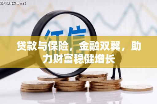 云和贷款与保险，金融双翼，助力财富稳健增长