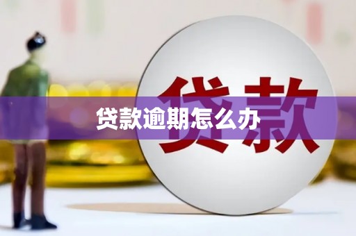 云和贷款逾期怎么办