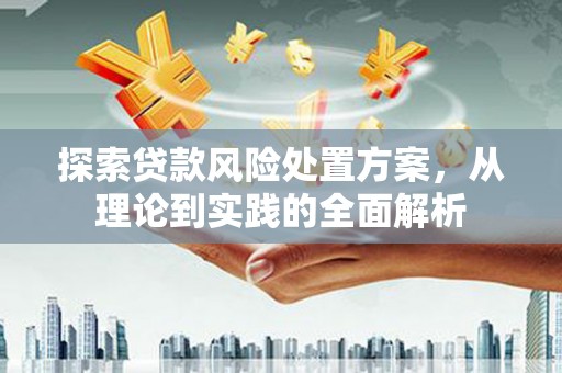 云和探索贷款风险处置方案，从理论到实践的全面解析