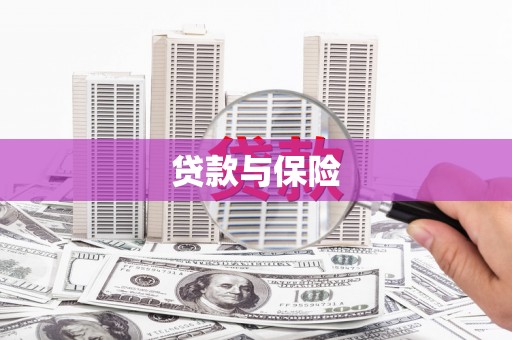 云和贷款与保险