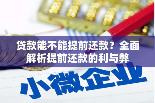 云和贷款能不能提前还款？全面解析提前还款的利与弊