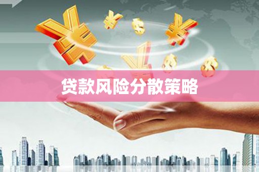 云和贷款风险分散策略