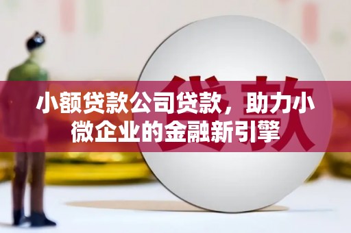 云和小额贷款公司贷款，助力小微企业的金融新引擎