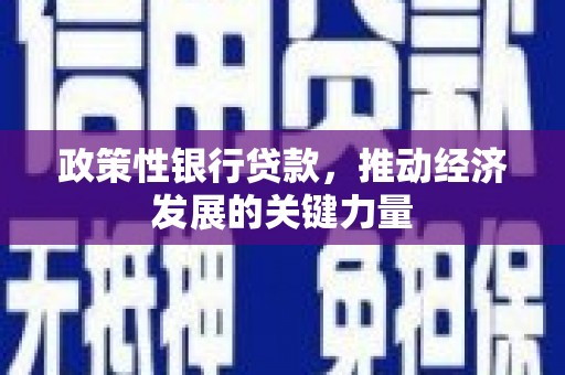 云和政策性银行贷款，推动经济发展的关键力量