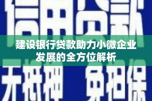 云和建设银行贷款助力小微企业发展的全方位解析