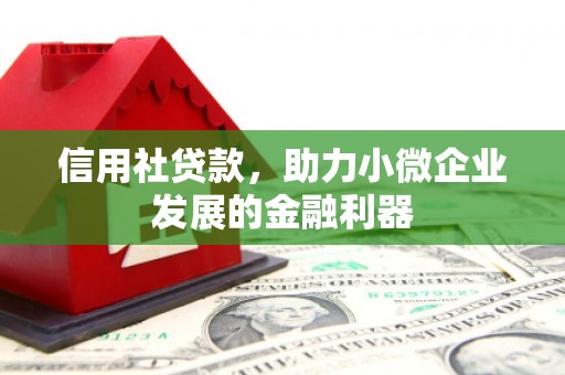 云和信用社贷款，助力小微企业发展的金融利器