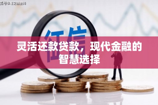 云和灵活还款贷款，现代金融的智慧选择