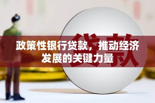 云和政策性银行贷款，推动经济发展的关键力量