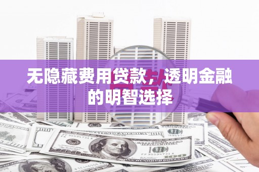 云和无隐藏费用贷款，透明金融的明智选择