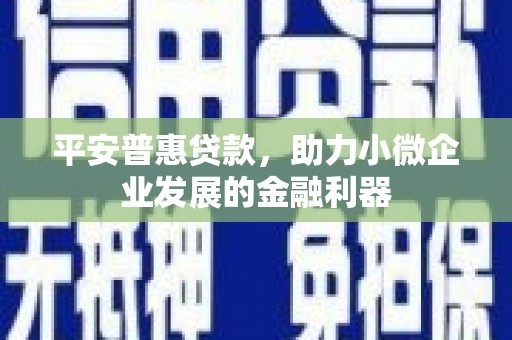 云和平安普惠贷款，助力小微企业发展的金融利器