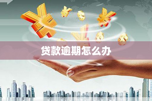 云和贷款逾期怎么办
