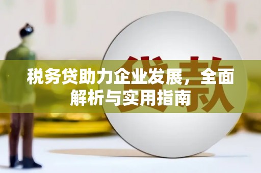 云和税务贷助力企业发展，全面解析与实用指南