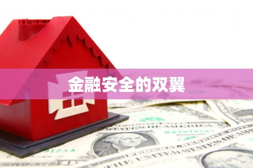 云和金融安全的双翼