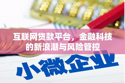 云和互联网贷款平台，金融科技的新浪潮与风险管控