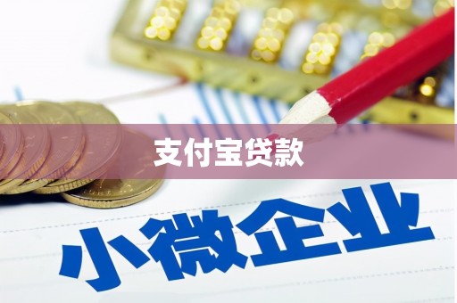 云和支付宝贷款