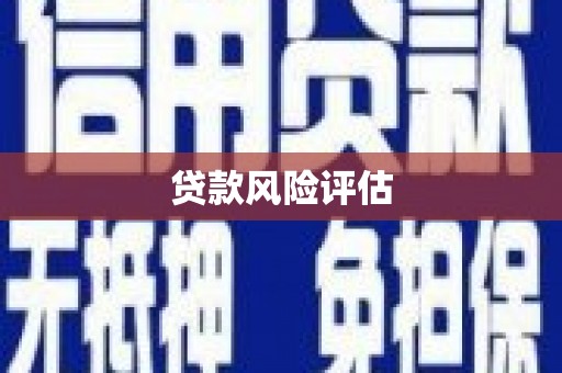 云和贷款风险评估