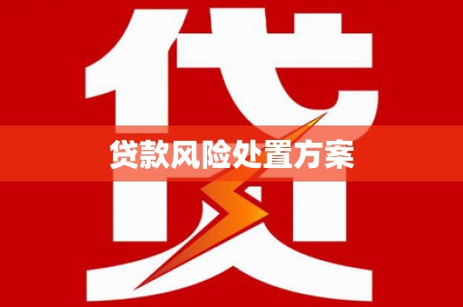 云和贷款风险处置方案